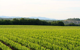 Cottage De Charme Grenache Proche Vallon Pont D'Arc