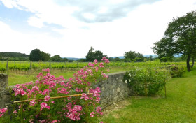 Cottage De Charme Grenache Proche Vallon Pont D'Arc