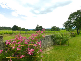 Cottage De Charme Grenache Proche Vallon Pont D'Arc
