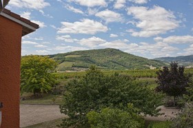 Citotel des Vignes