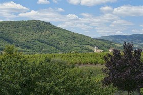 Citotel des Vignes
