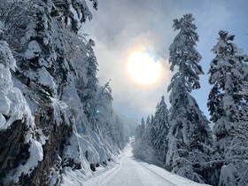 Chalet Des Bruyeres