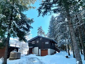 Chalet Des Bruyeres