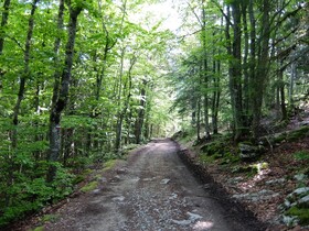 Chalet Des Bruyeres