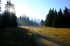 Chalet Des Bruyeres