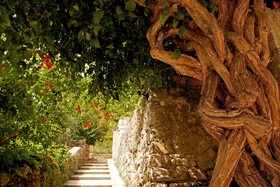 Domaine De L'Eau Vive