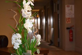 Best Western Hôtel des Barolles - Lyon Sud