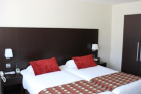 Best Western Hôtel des Barolles - Lyon Sud