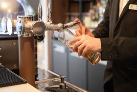 Holiday Inn Lyon Vaise