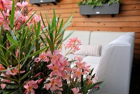 Hôtel ibis Lyon Gare La Part-Dieu