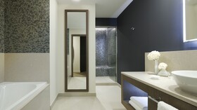 Intercontinental Lyon - Hotel Dieu