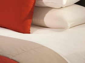 Mercure Lyon Centre Saxe Lafayette Hotel