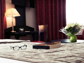 Mercure Lyon Charpennes