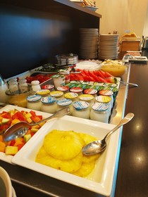 Mercure Lyon Charpennes