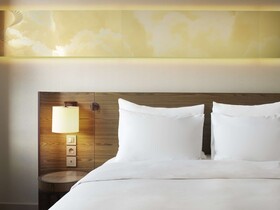 Radisson Blu Lyon