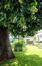 Hôtel Villa Alexandre