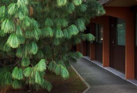 Kyarid Direct Roanne