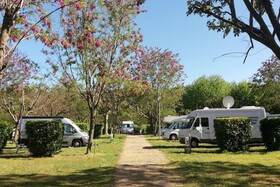 Campsite de l'Ardèche