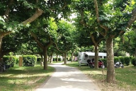 Campsite de l'Ardèche