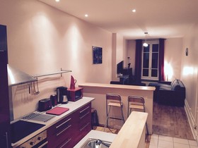 Appartement Lyon Villeurbanne