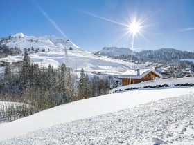 Chalet Joubarbe-OVO Network