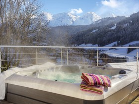 Fleur Des Neiges Grand Bornand - OVO Network