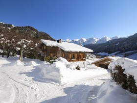 Fleur Des Neiges Grand Bornand - OVO Network