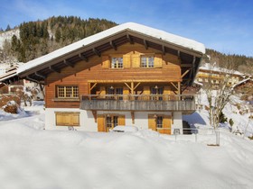 Fleur Des Neiges Grand Bornand - OVO Network