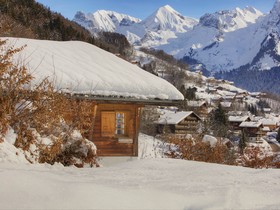 Fleur Des Neiges Grand Bornand - OVO Network