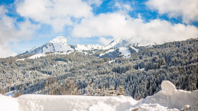 Maison D'Hiver - OVO Network