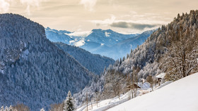 Maison D'Hiver - OVO Network