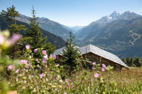 MGM Hôtels & Résidences  - Alpen Lodge Hôtel & Résidence