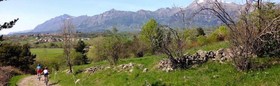 Le Forest