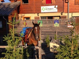 Le Forest