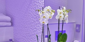 Best Western Plus Hotel Carlton