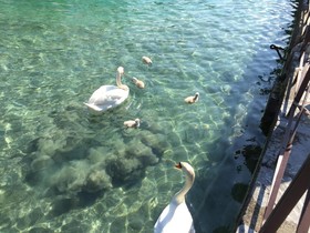 Hôtel Mercure Annecy Centre