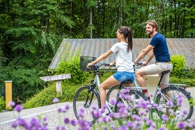 Les Trésoms - Lake & Spa Resort - Annecy