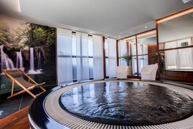Excelsior Chamonix Hôtel & Spa