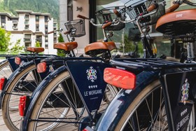 Morgane Hotel Chamonix