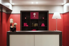 Morgane Hotel Chamonix