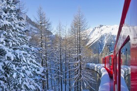 Village Vacances La Foret des Tines