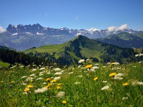 Chalet Cannelle