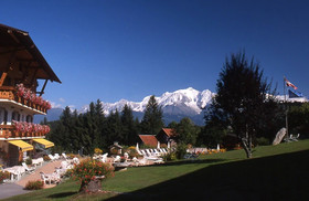 Le Chamois D'Or