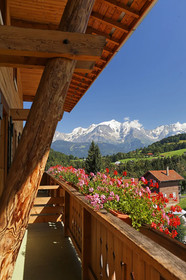 Le Chamois D'Or