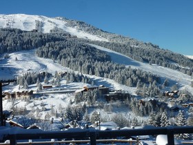 Les Ancolies