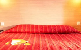 Hotel Premiere Classe Annecy Sud - Cran Gevrier