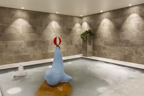 RockyPop Flaine Appartements & Spa