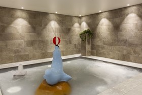 RockyPop Flaine Appartements & Spa