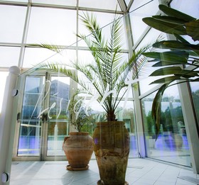 Mercure Grenoble Centre Président Hotel