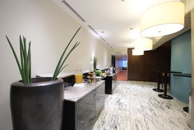 Mercure Grenoble Zentrum Alpotel Hotel